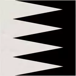 Grinyon Blanco Negro 20x20
