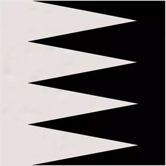 Grinyon Blanco Negro 20x20