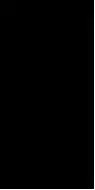 Grum Black Polished 160x320