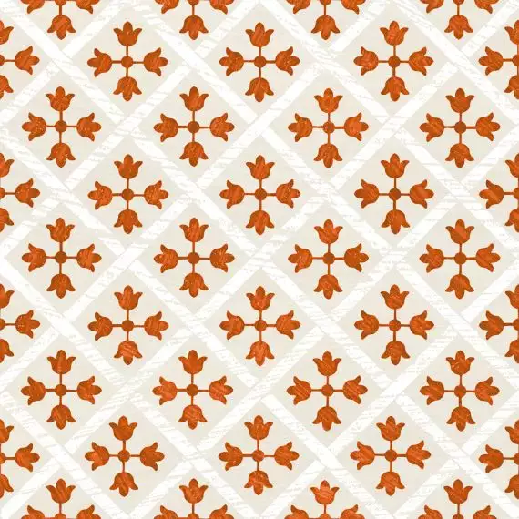 Guadalupe Cotto 18,7x18,7