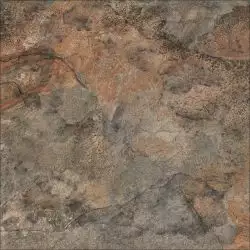 Hannover рыжий 60х60