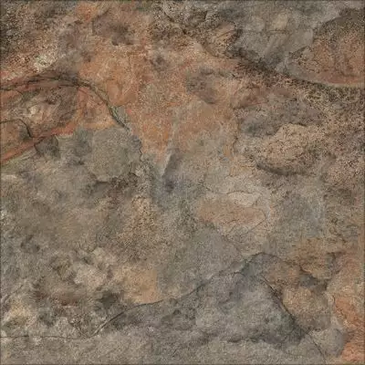 Hannover рыжий 60х60