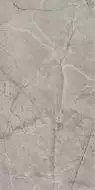 Harmony Gris Glossy 60x120