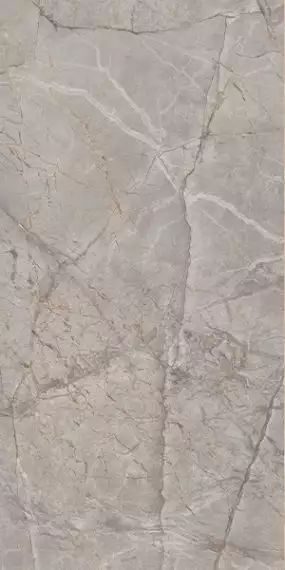 Harmony Gris Glossy 60x120