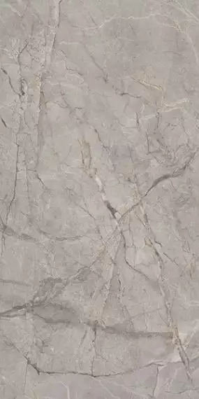 Harmony Gris Lapato 60x120