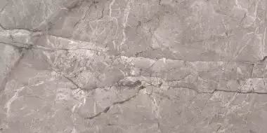 Harmony Taupe Carving 60x120