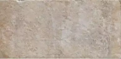 Havana Sugar Cane 10х20