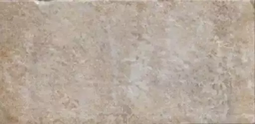 Havana Sugar Cane 10х20