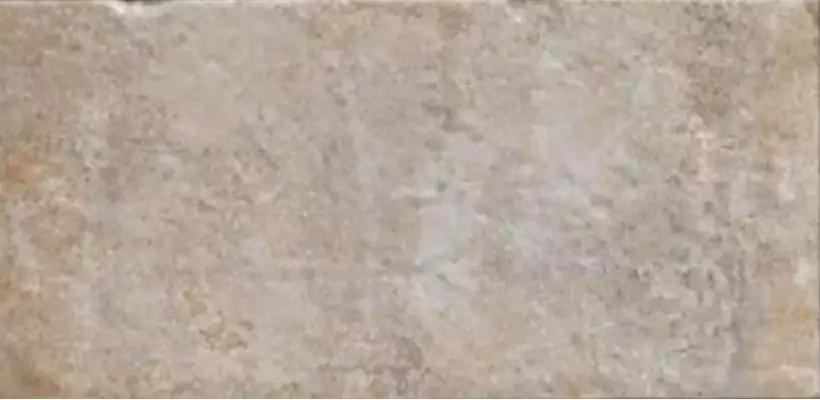 Havana Sugar Cane 10х20