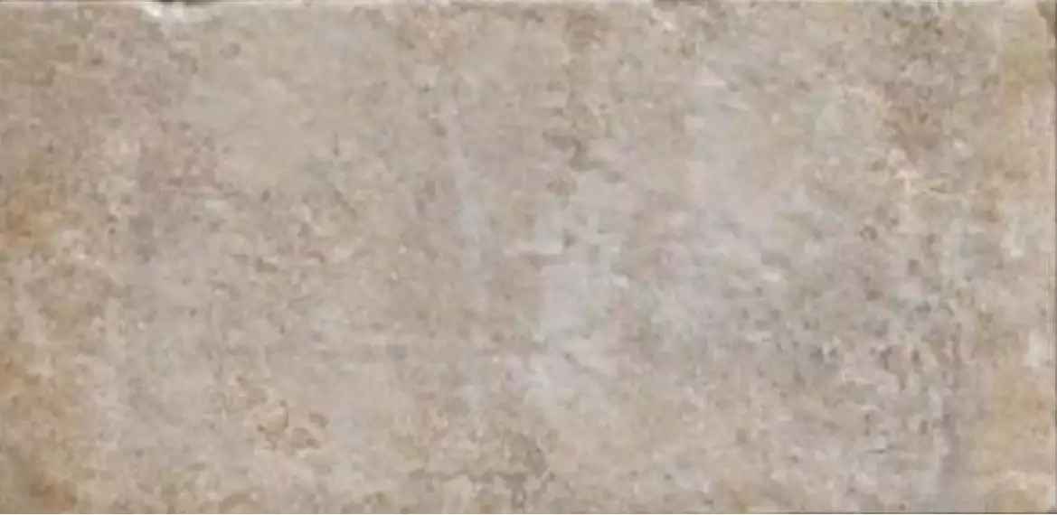 Havana Sugar Cane 10х20