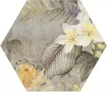 Hibiscus Oxide Matt Hexa 23.2x26.7