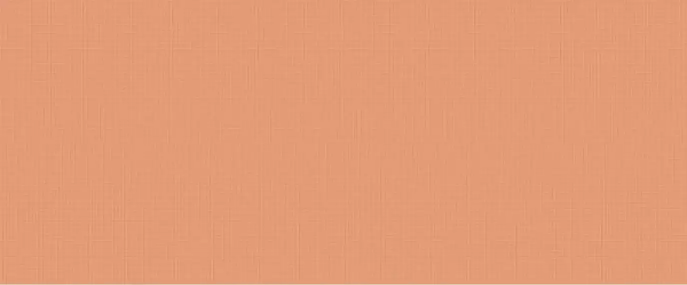 I364 Lilysuite Orange 50x120