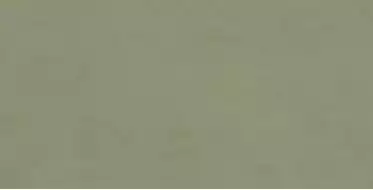 I858 Multiforme Muschio RT 40х80