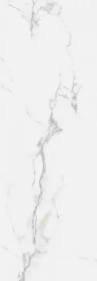 ICEBERG NPLUS 29x84