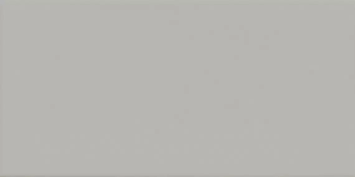 ICONA 1020G Grigio 10x20
