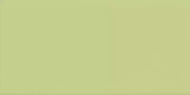 ICONA 1020VO Verde Oasi 10x20
