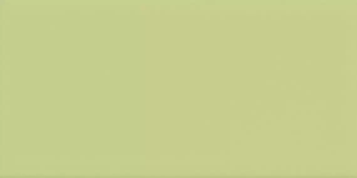ICONA 1020VO Verde Oasi 10x20