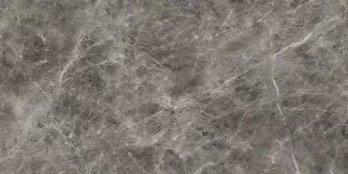 IMM 12LR Visone Grigio Levigato 60x120