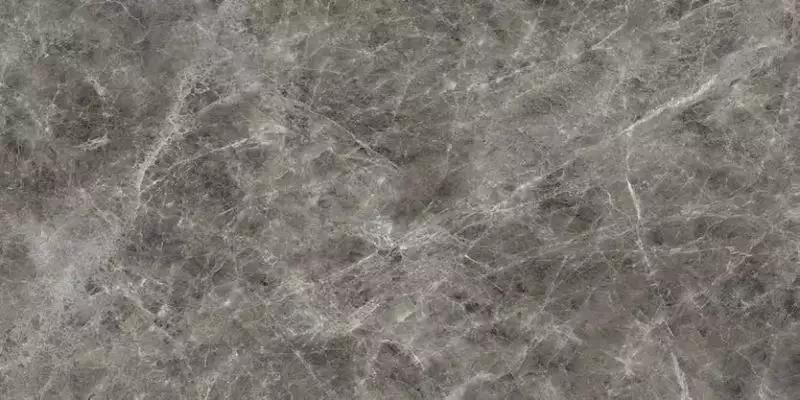 IMM 12LR Visone Grigio Levigato 60x120