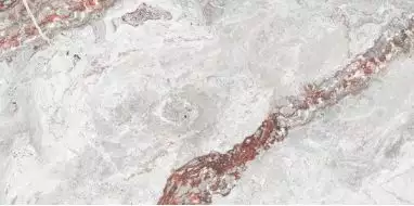 INFINITY SNOW 60х120