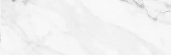 INSIGNIA WHITE Matt 31,6x100
