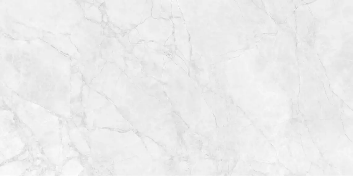 Iberia Bianco Carving Satin 60x120