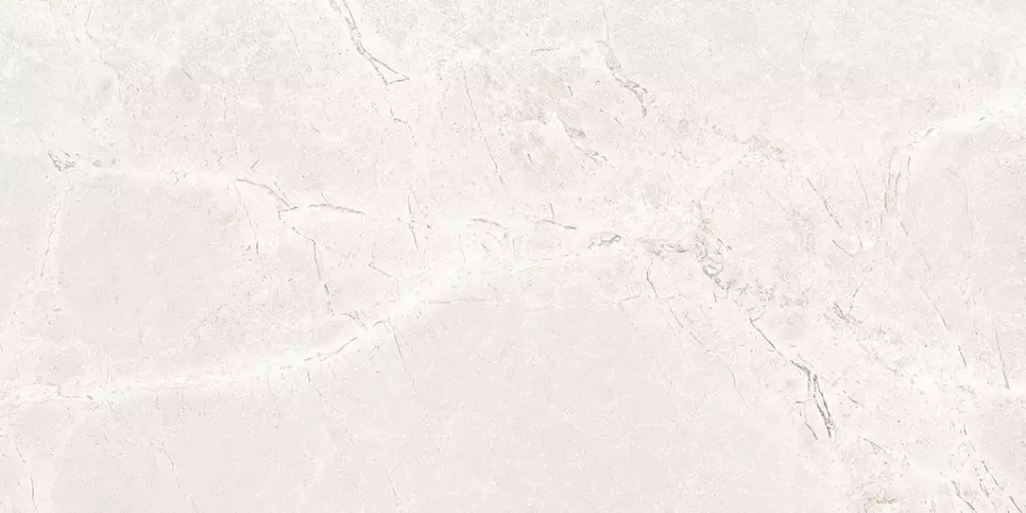 Iconic Dew Matt 60x120