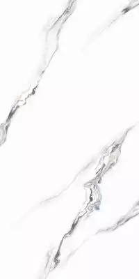 Indio Statuario 60x120
