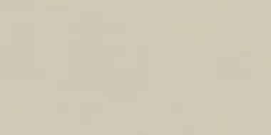 Industrio Cream Matt R10 119.8x59.8