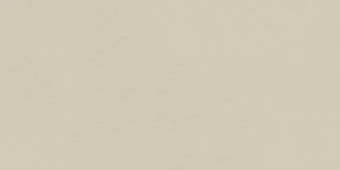Industrio Cream Matt R10 119.8x59.8