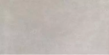 Infinito серый 60х120