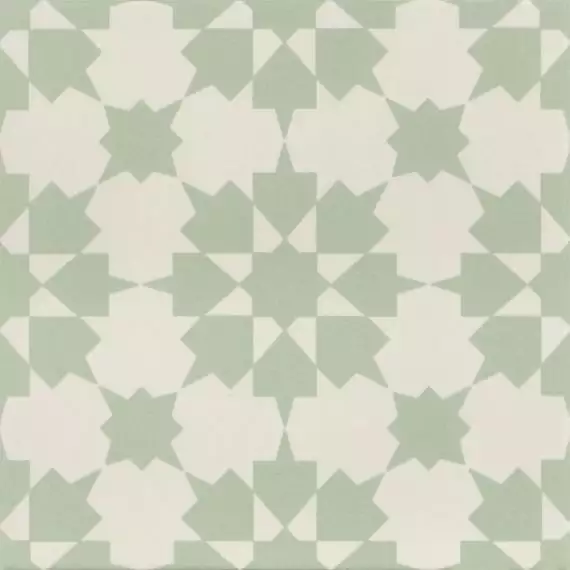 Infusion Ornelas 20x20