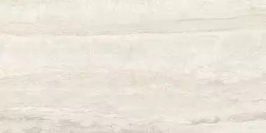 Invictus Ivory 60x120