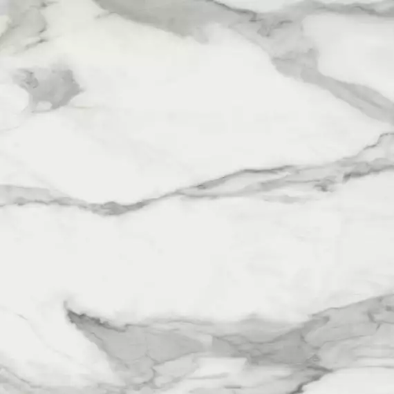 Invictus Natural 80x80