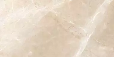 Irasu Brown Fusion 60x120