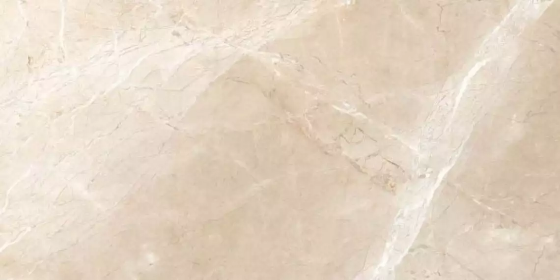 Irasu Brown Fusion 60x120