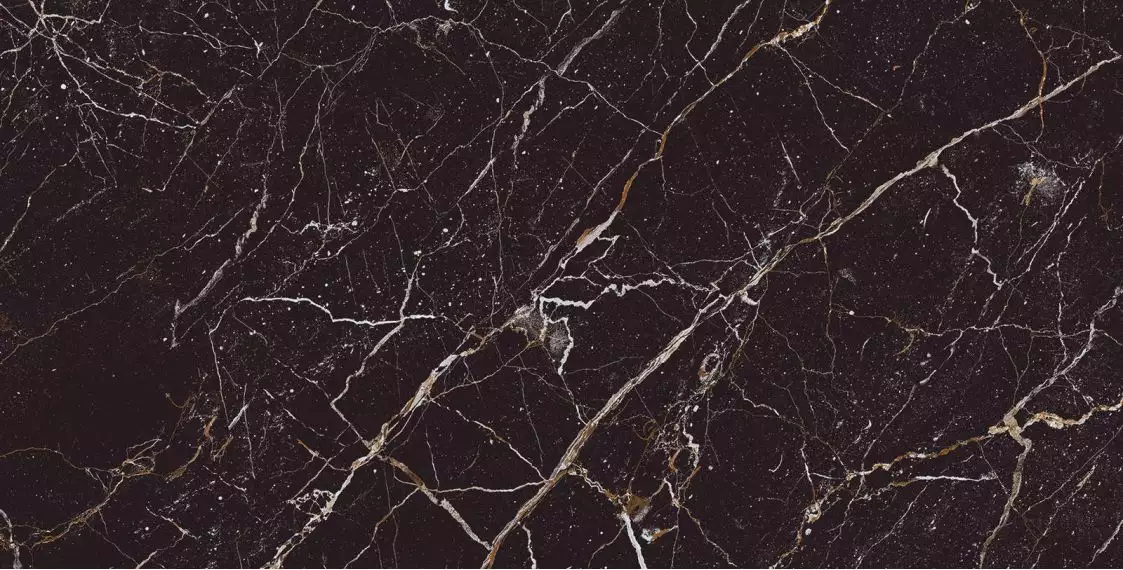 Iris Black 60x120