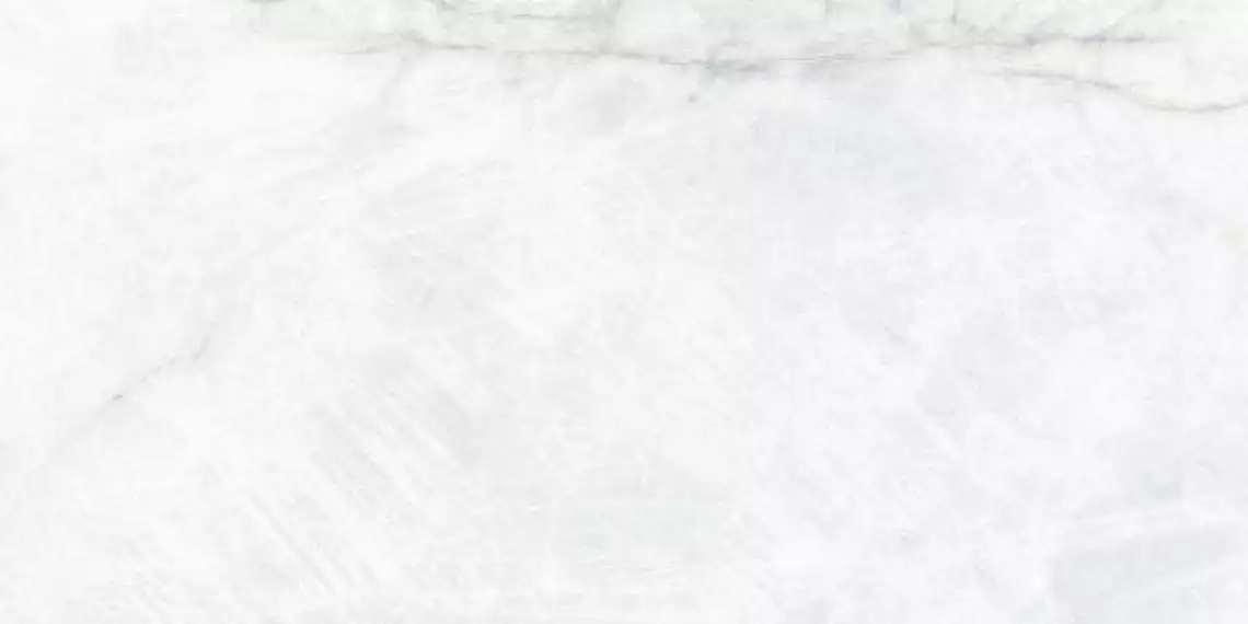 Iris Blanco 60x120