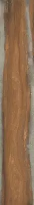 J90221 Керамогранит INFINITY nut 24x150