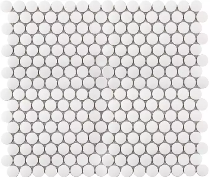 JNK81011 Мозаика Penny Round White Antid. 315х309х6