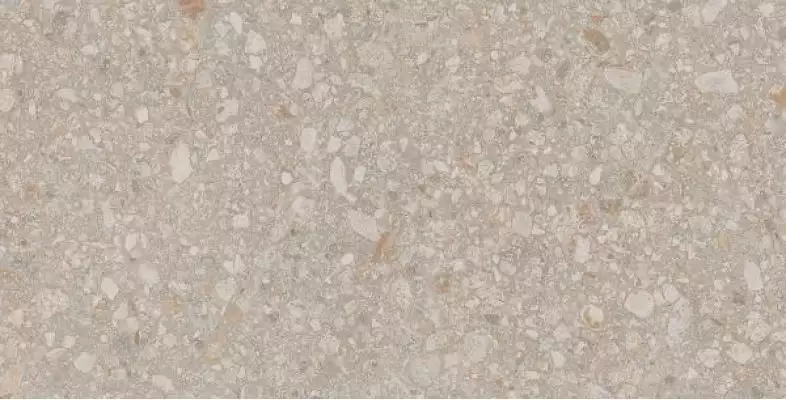 JP01 Jasper неполированный 30.6x60.9x8