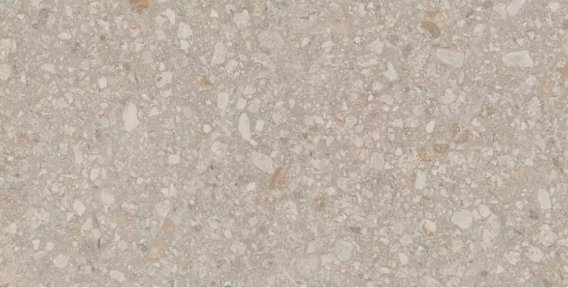 JP01 Jasper неполированный 30.6x60.9x8