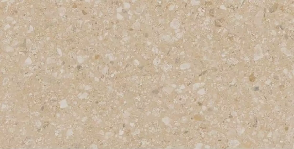 JP02 Jasper неполированный 30.6x60.9x8
