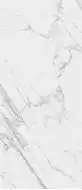JW14 Statuario Venato Luc 6mm 120*278