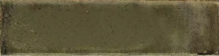 Jazba Olive Brillo 6х24.6