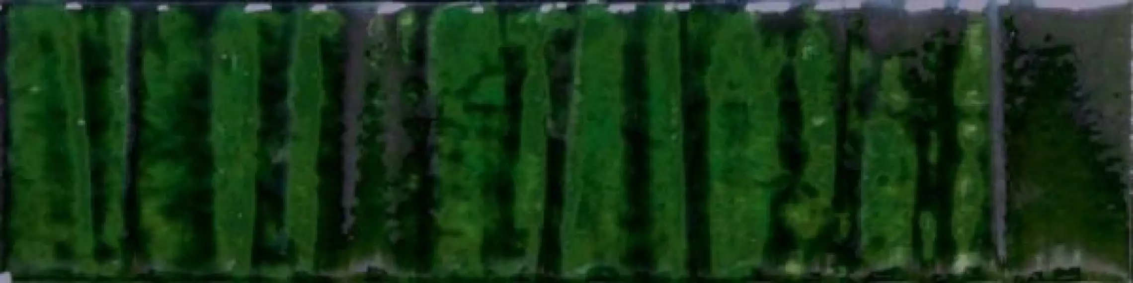 Joliet Jade Prisma 7,4x29,75