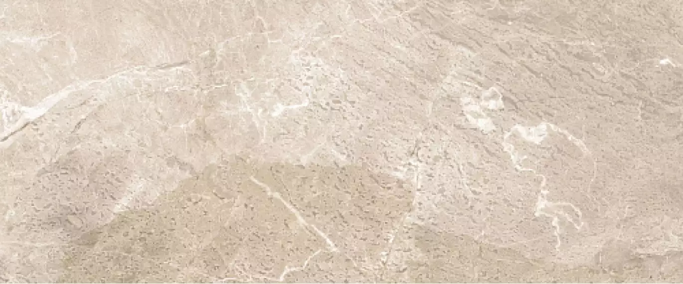 Joy beige бежевый 03 25x60