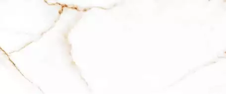 Joy white белый 01 25x60