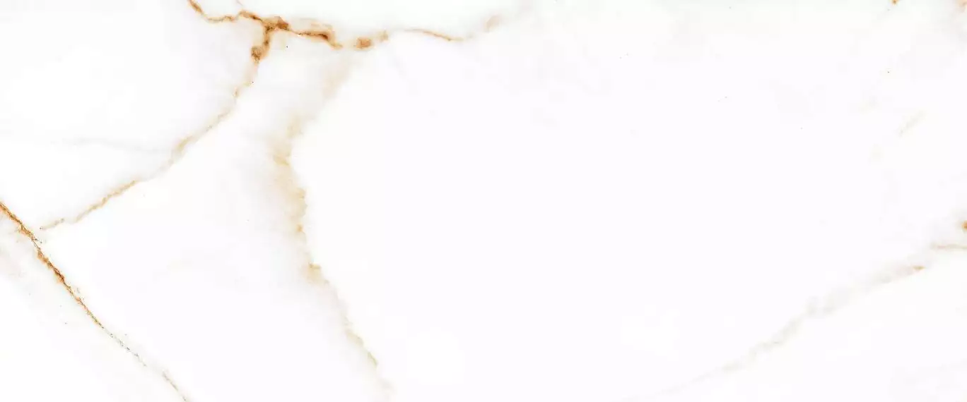 Joy white белый 01 25x60