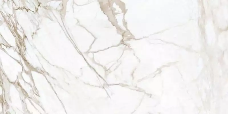 K-1001/LR Marble Trend Calacatta Gold 60x120